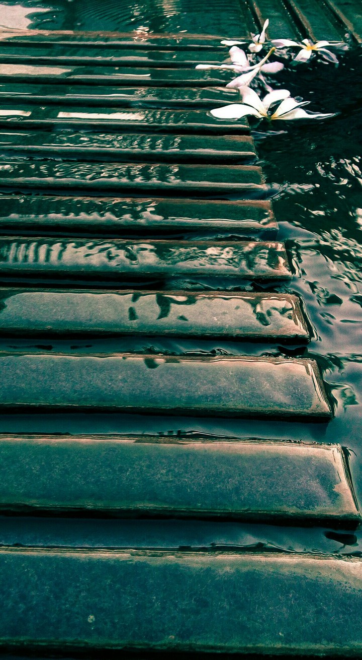 fountain tracks