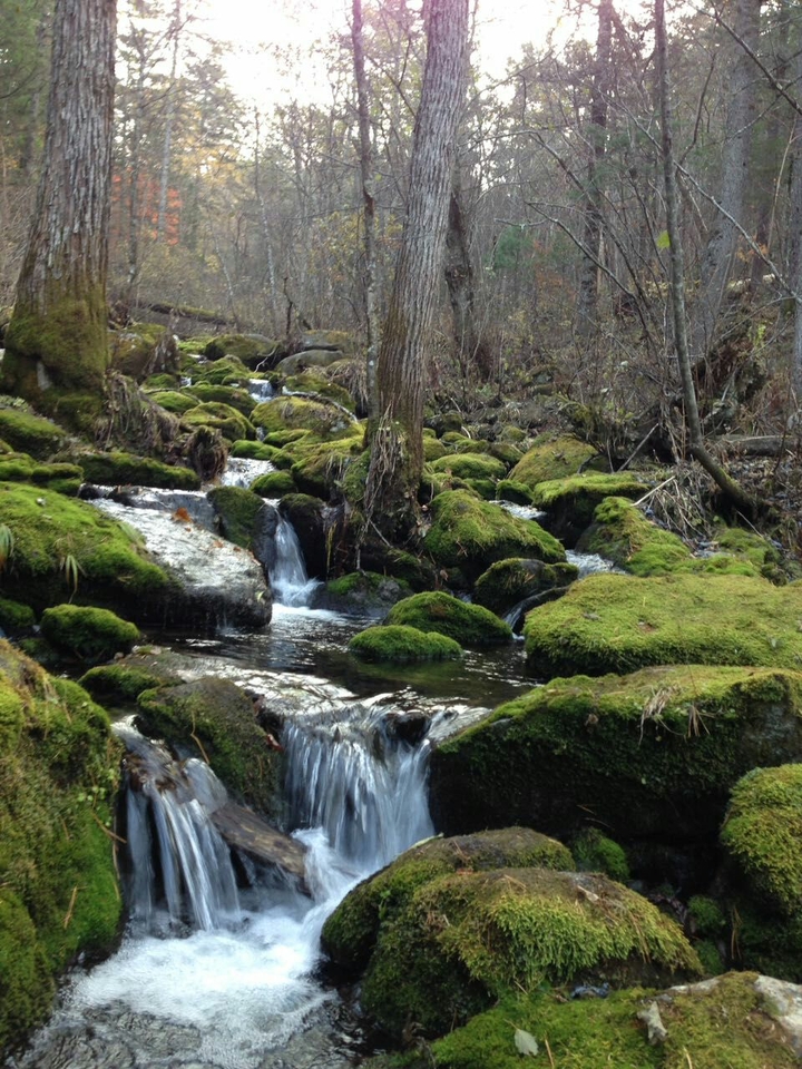 Russia. Primorsky krai