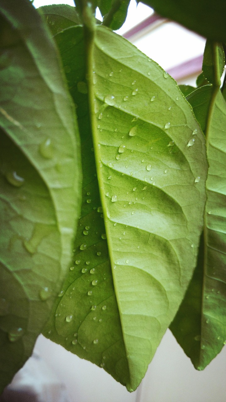 The nature is the only thing that shows us its true colours