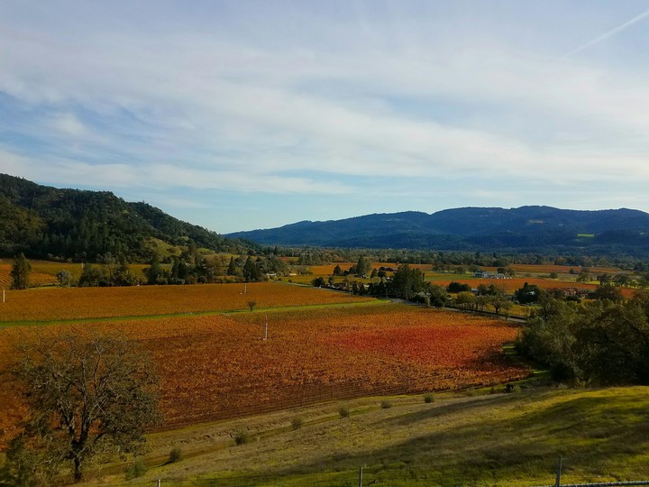 vast fields