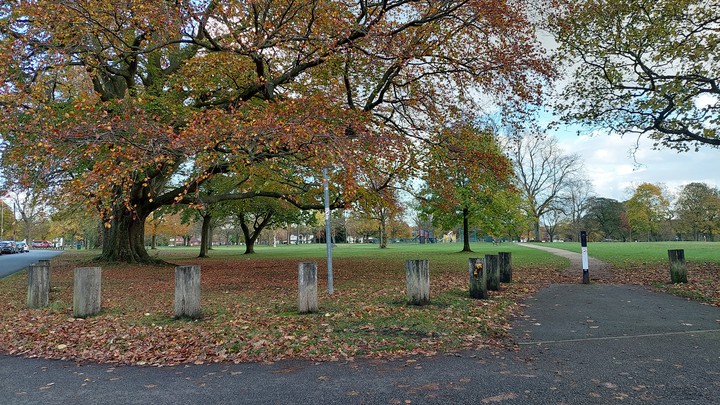 late autumn colours