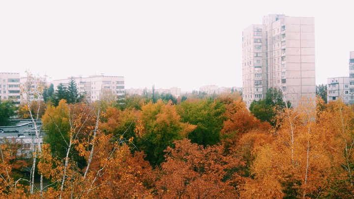 autumn