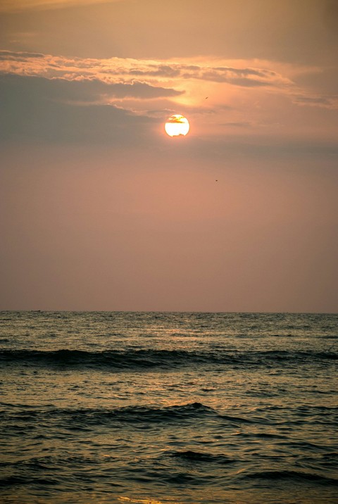 Peace