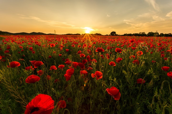 red dawn