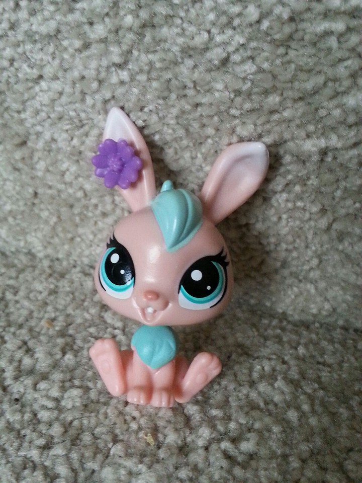 Cute bunny
