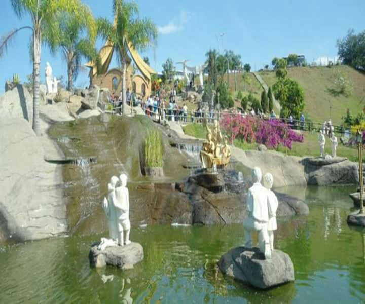 aparecida