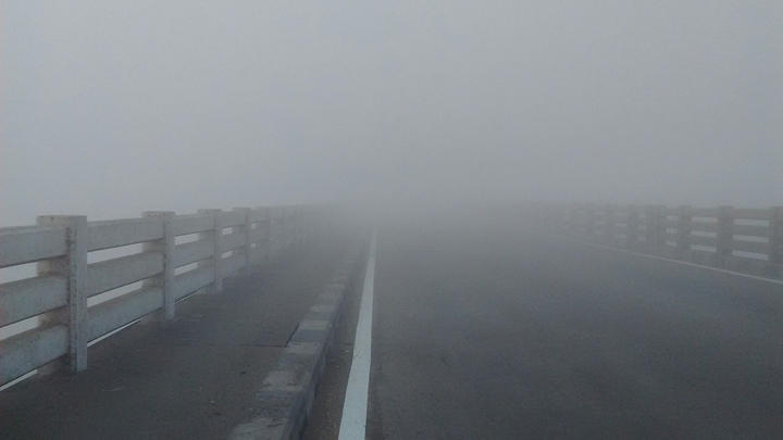in the fogg
