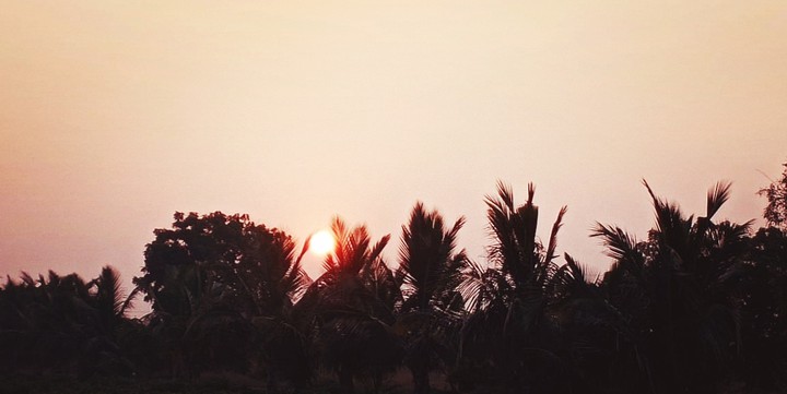 morning