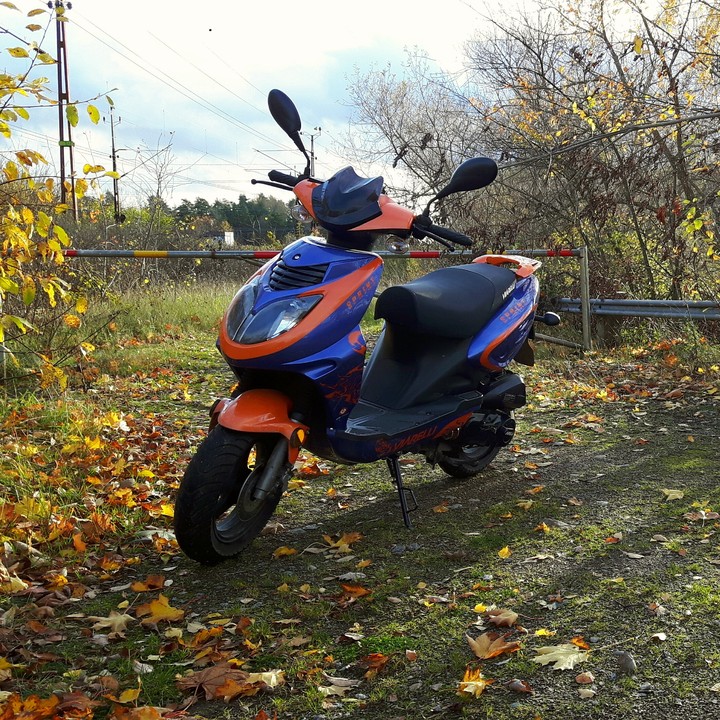 Viarelli Sprint