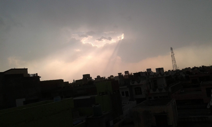 sunlight