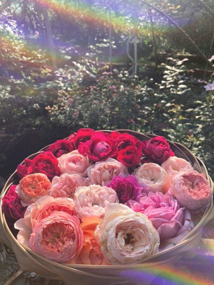 SK~flowers