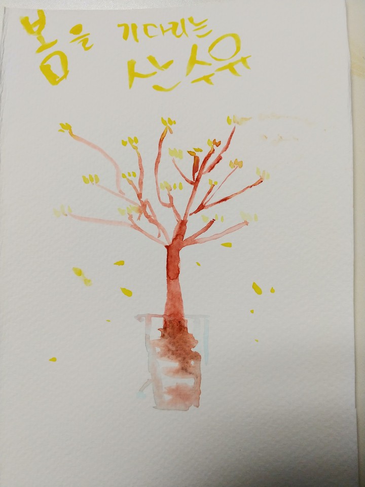 봄을 기다리는 산수유