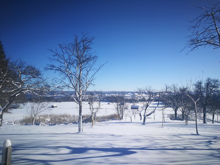 Winter Wonderland