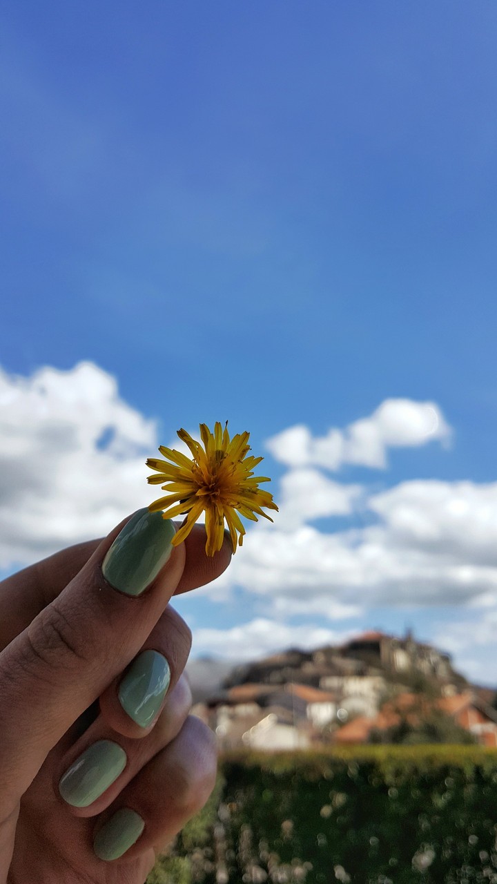 Spring is now!