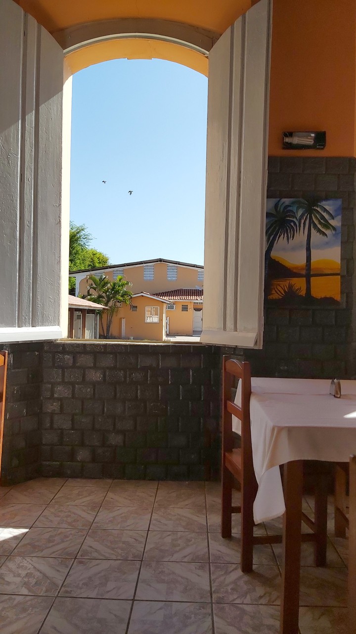 Sunny Window