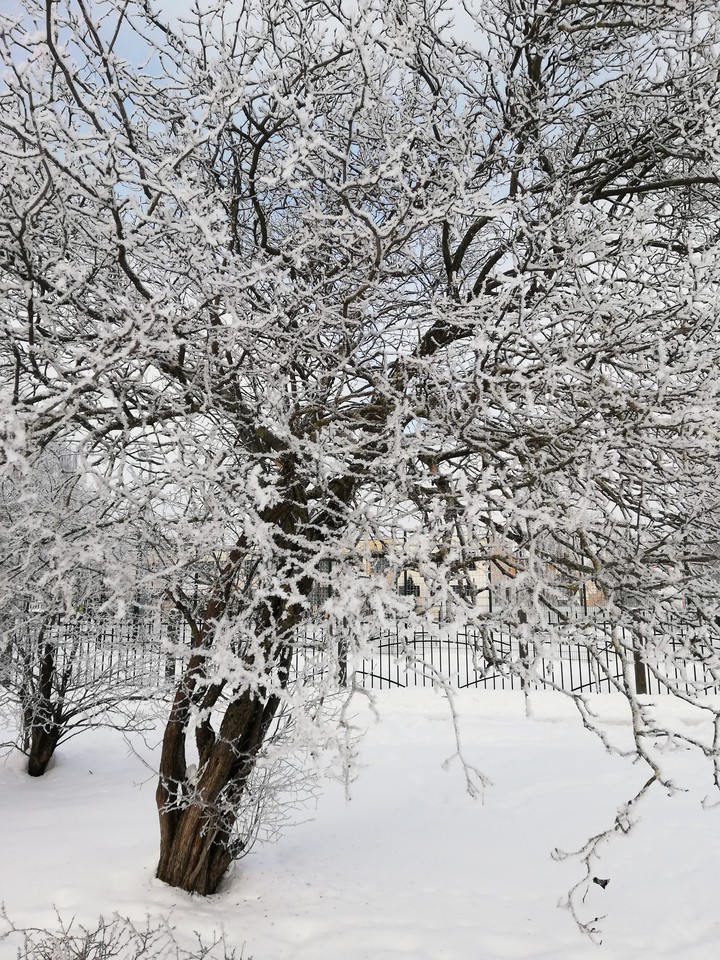 winter