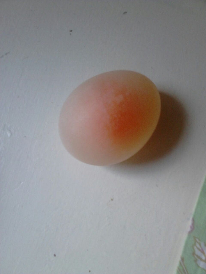 egg