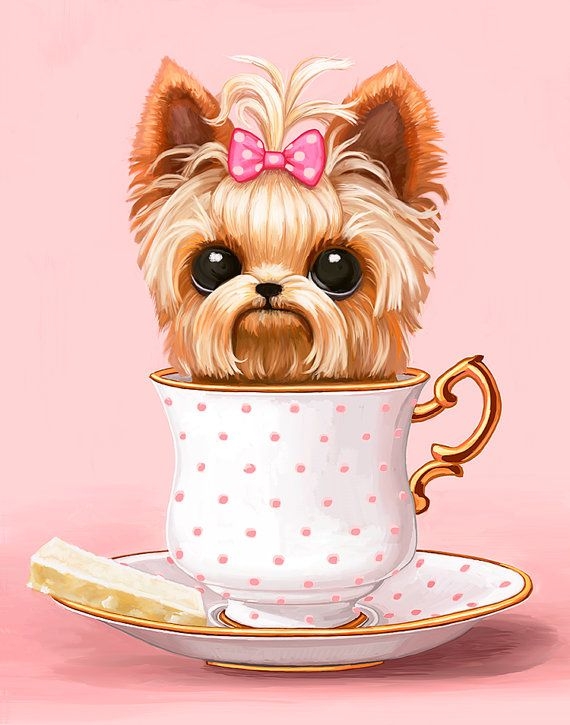 Dog fofinho