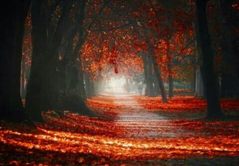 Eger, Hungary ★