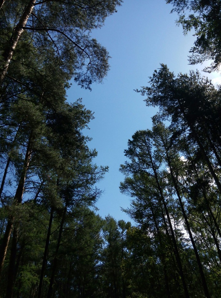 Sunny day