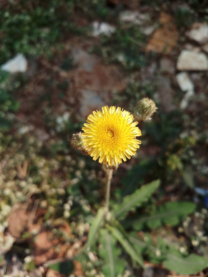 wonderful creation