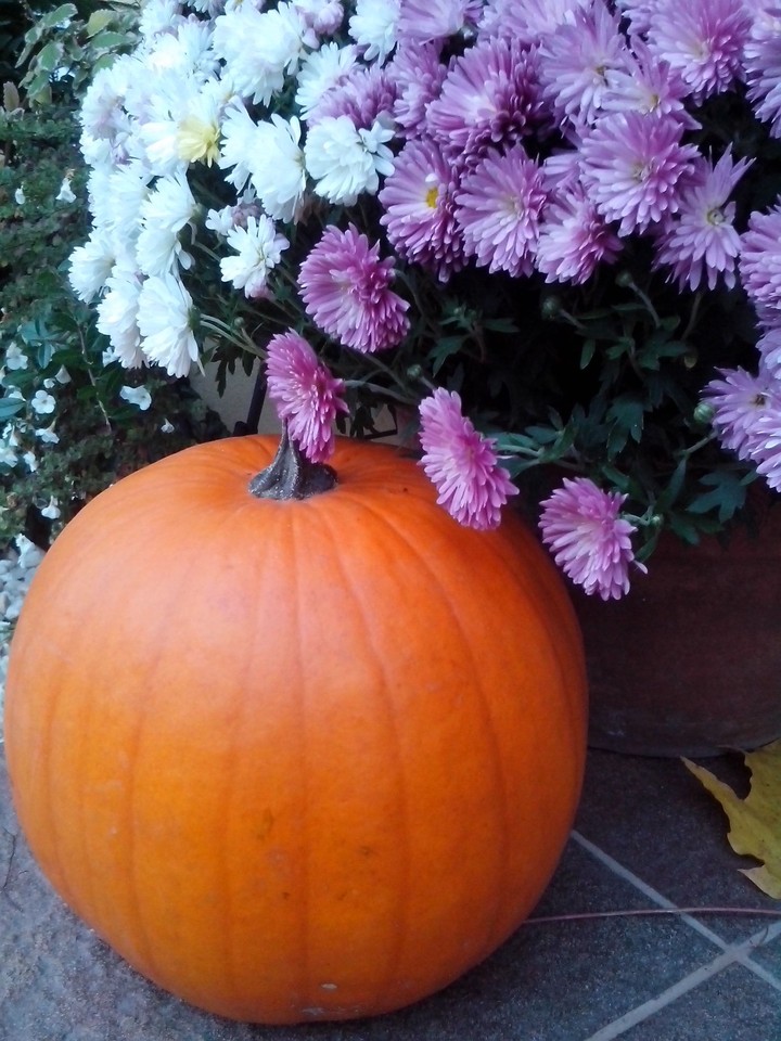 Pumpkin and flowers..