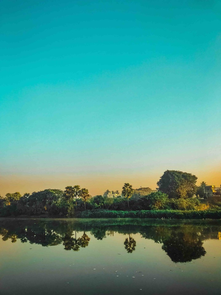 Nature
