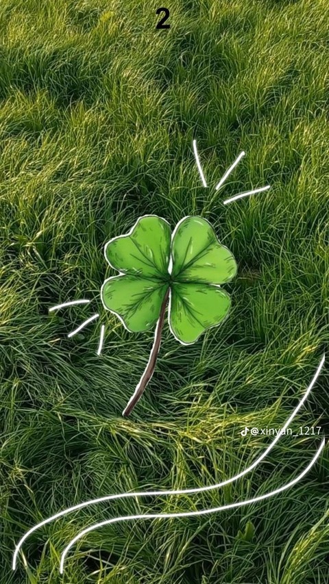 sfondi Clover, green