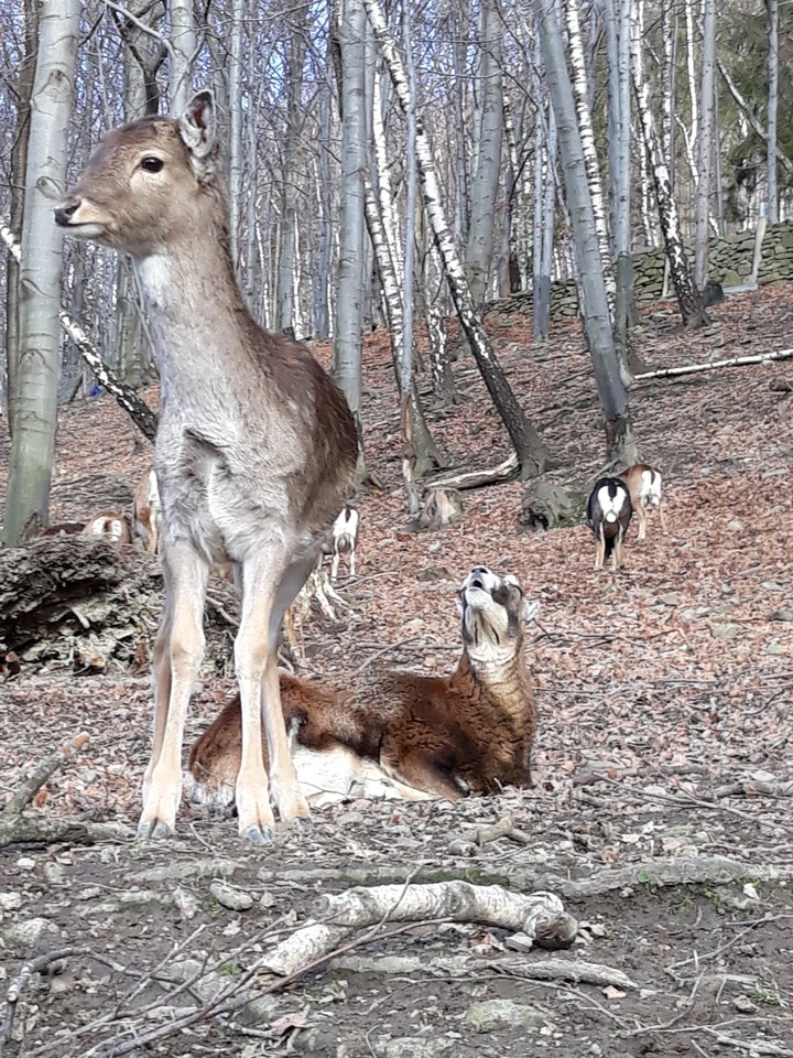 Nature
