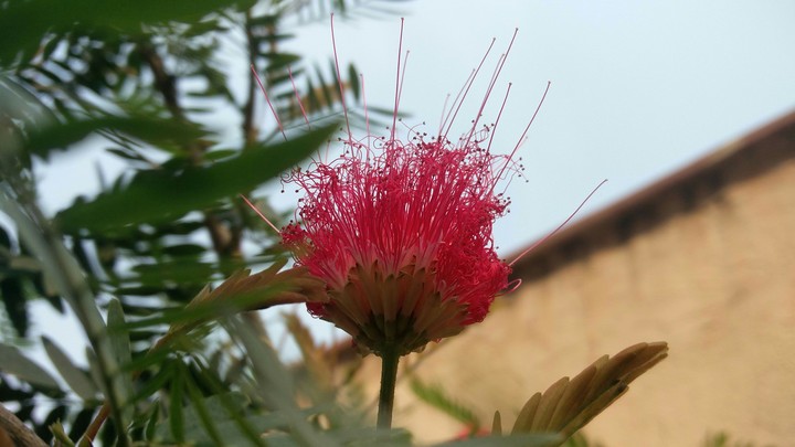 Big Bright Red