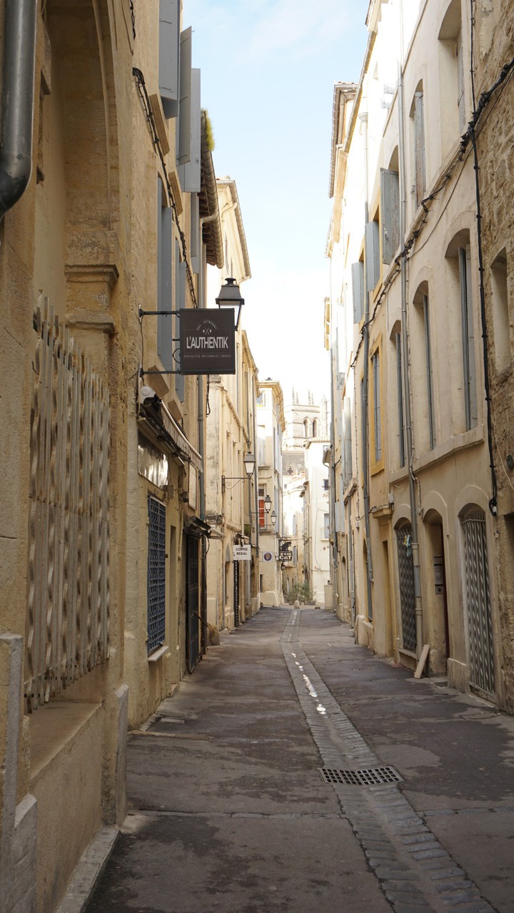 Montpellier, an alleyway outside the city 2