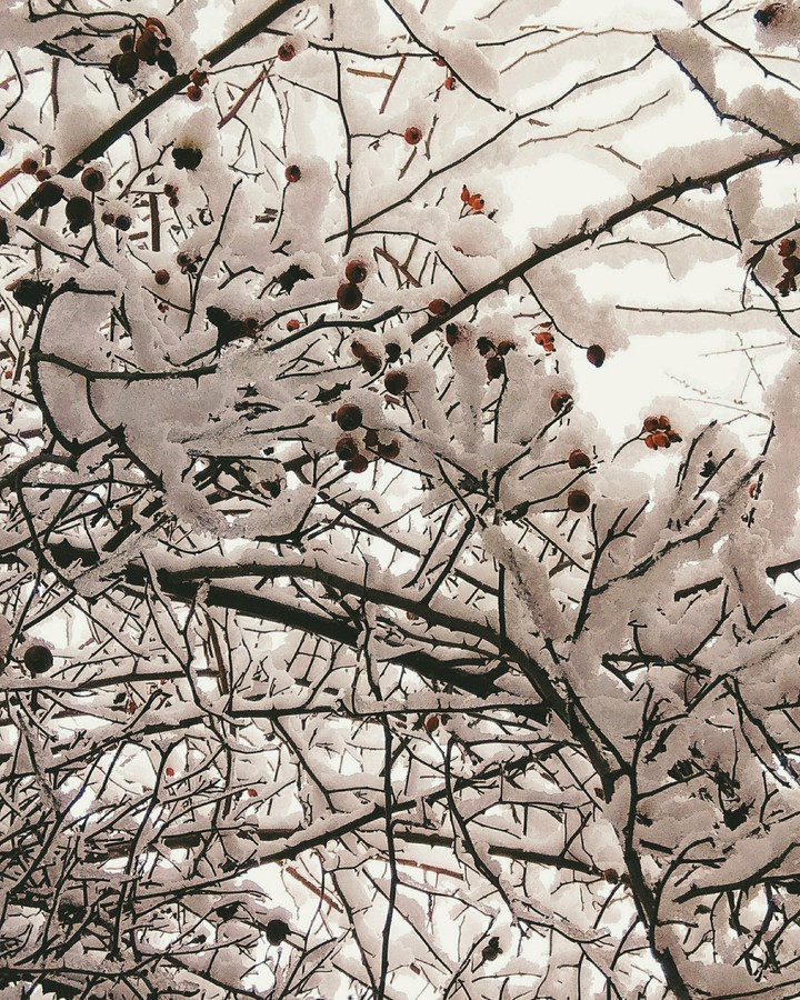 Winter