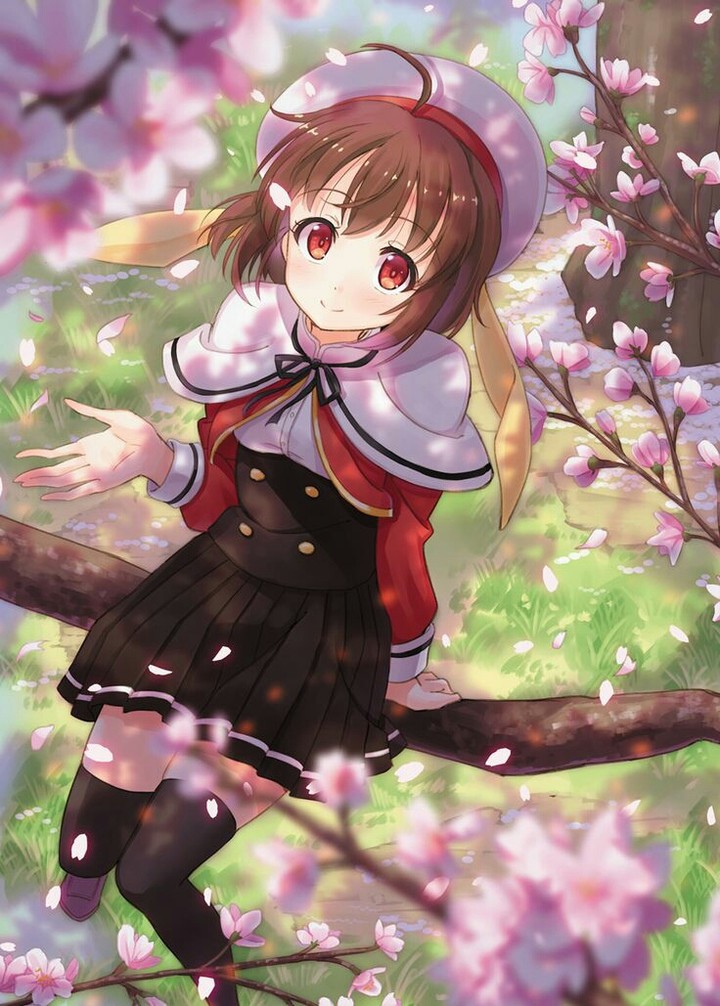 Anime