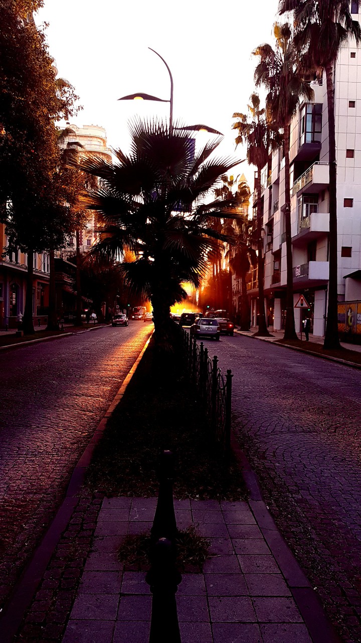 sunshine in batumi