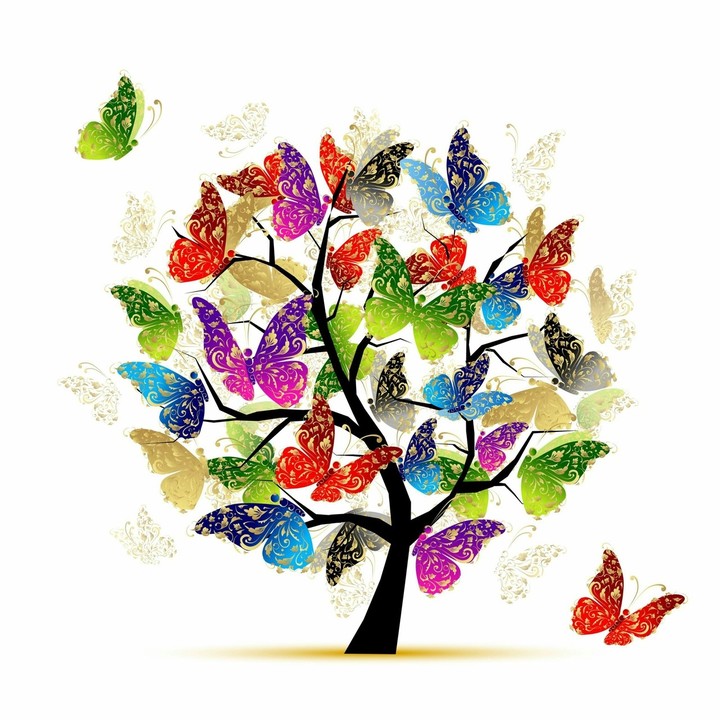 butterfly tree