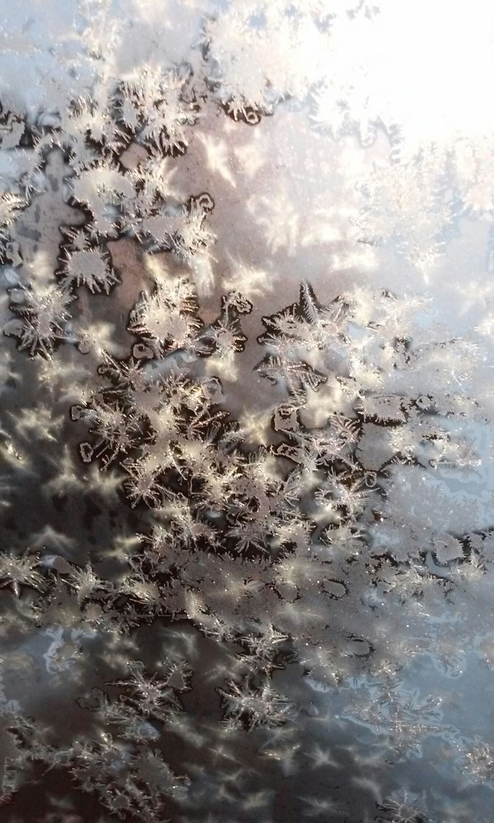 Snowflakes