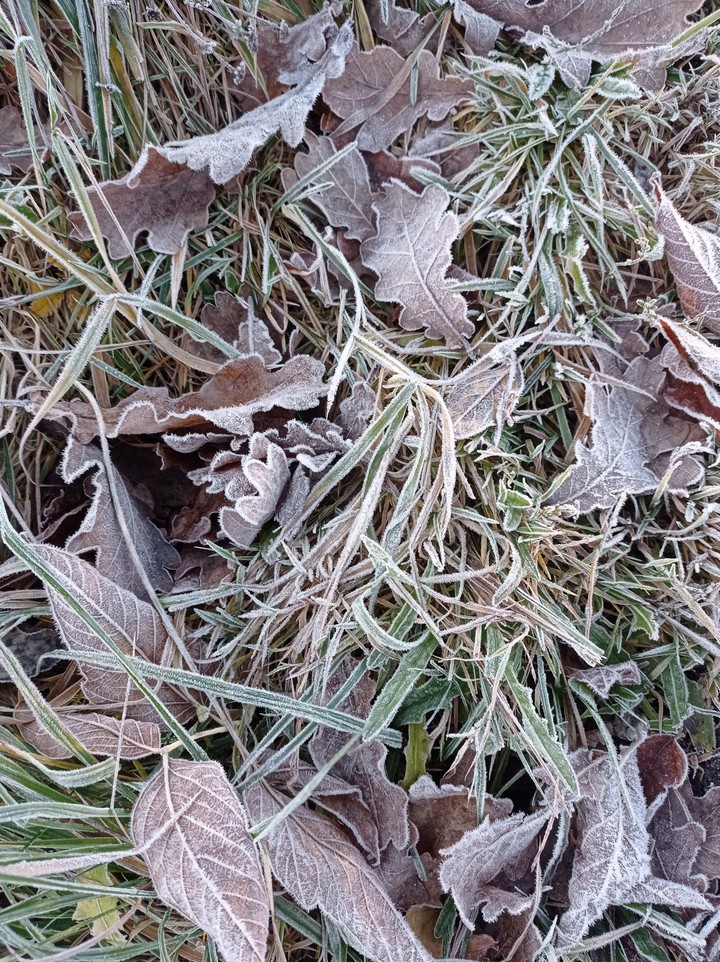 winter is coming