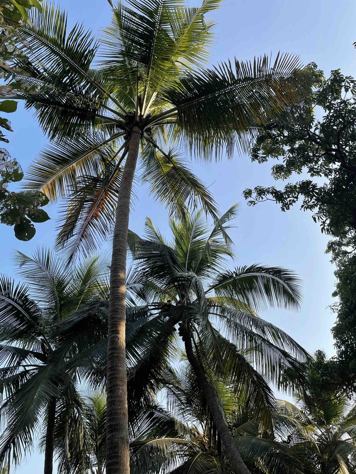Amidst Nature
