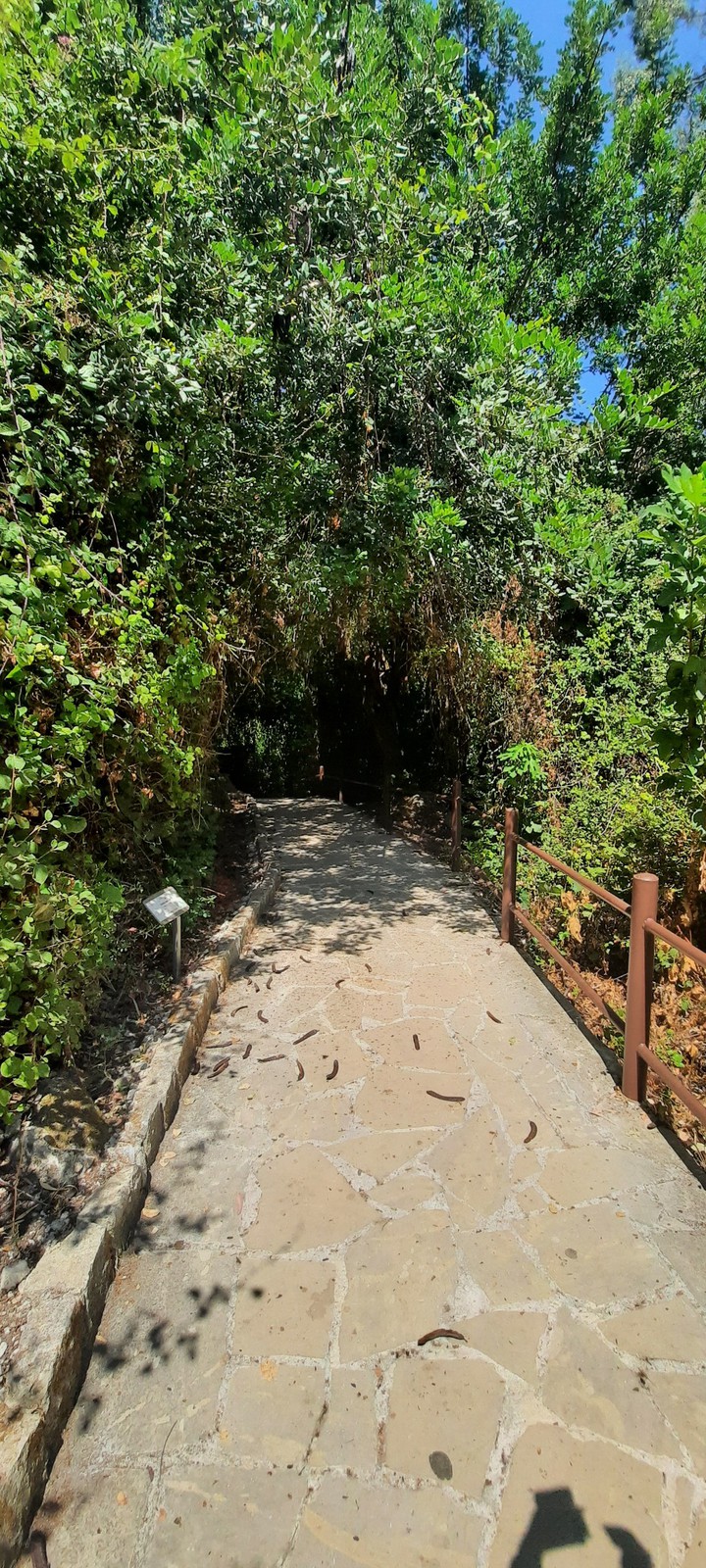 Nature Path