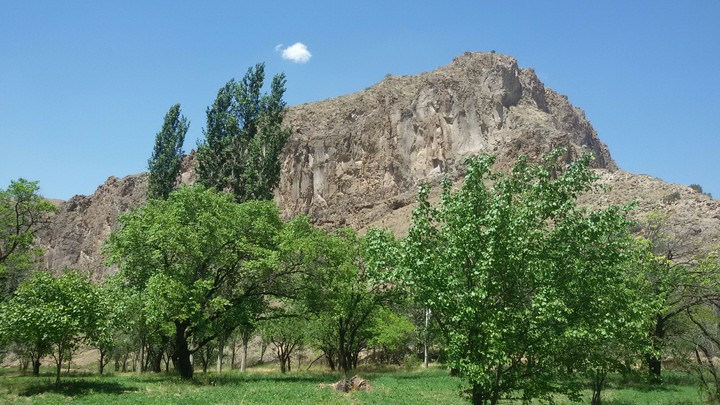 nature