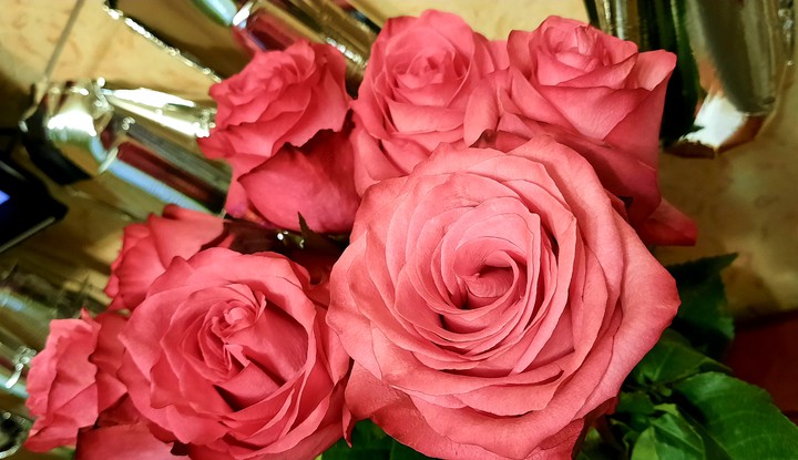 rose