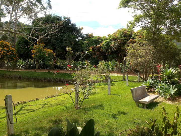 jardim??