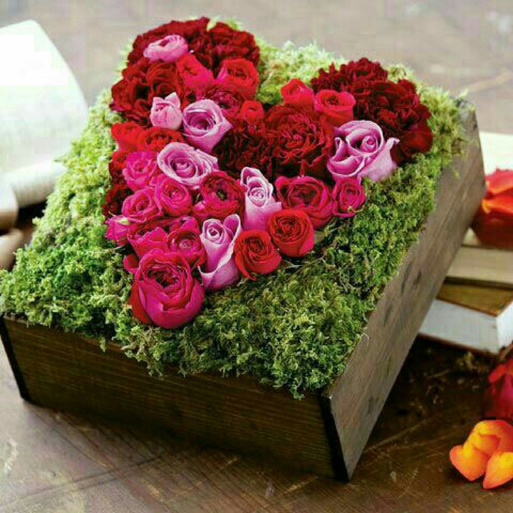 love