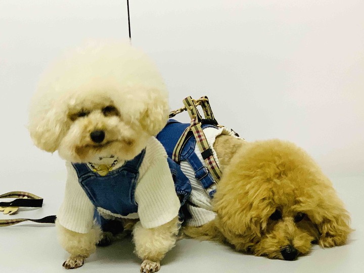 Lucky& Money