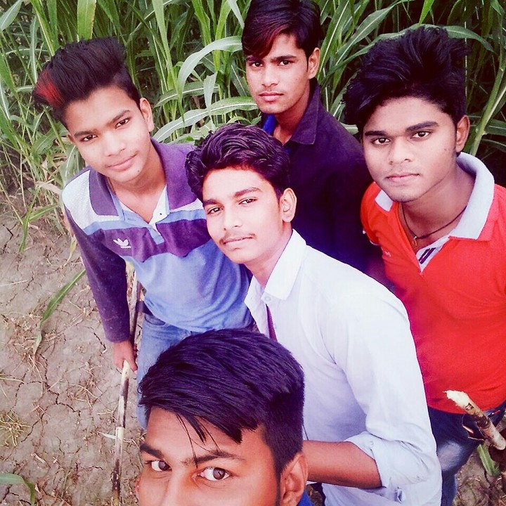 friends