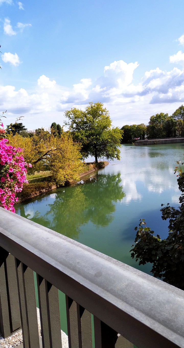 Nature in Paris