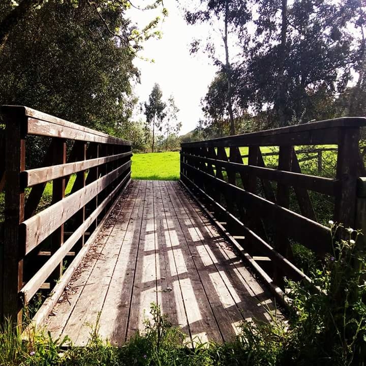 ponte