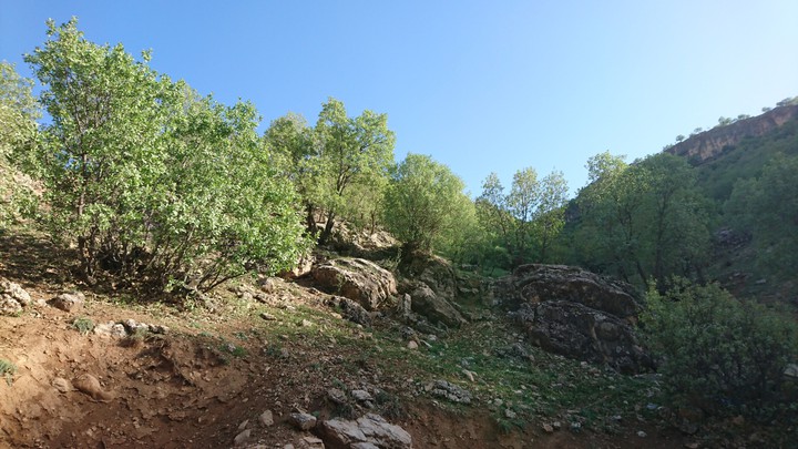 Zagros Mountains
