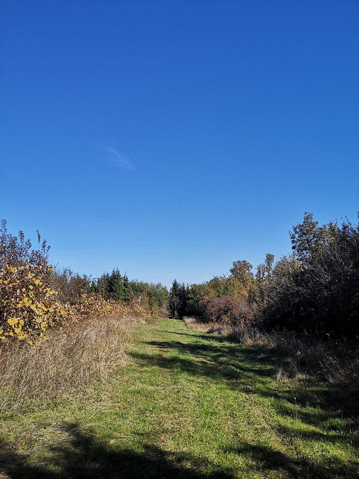 A Path in the Mountain Village