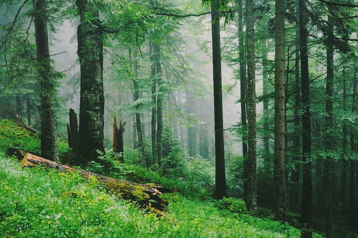 Romania
